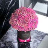 Baby's Breath Bouquet in a Hatbox