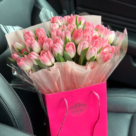 Fresh Tulips